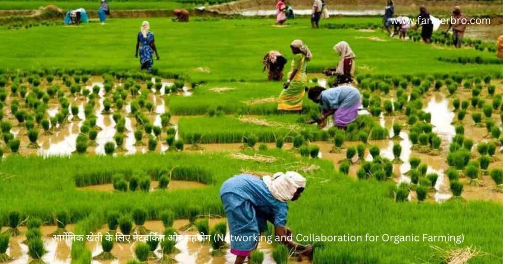 आर्गेनिक खेती के लिए नेटवर्किंग और सहयोग 