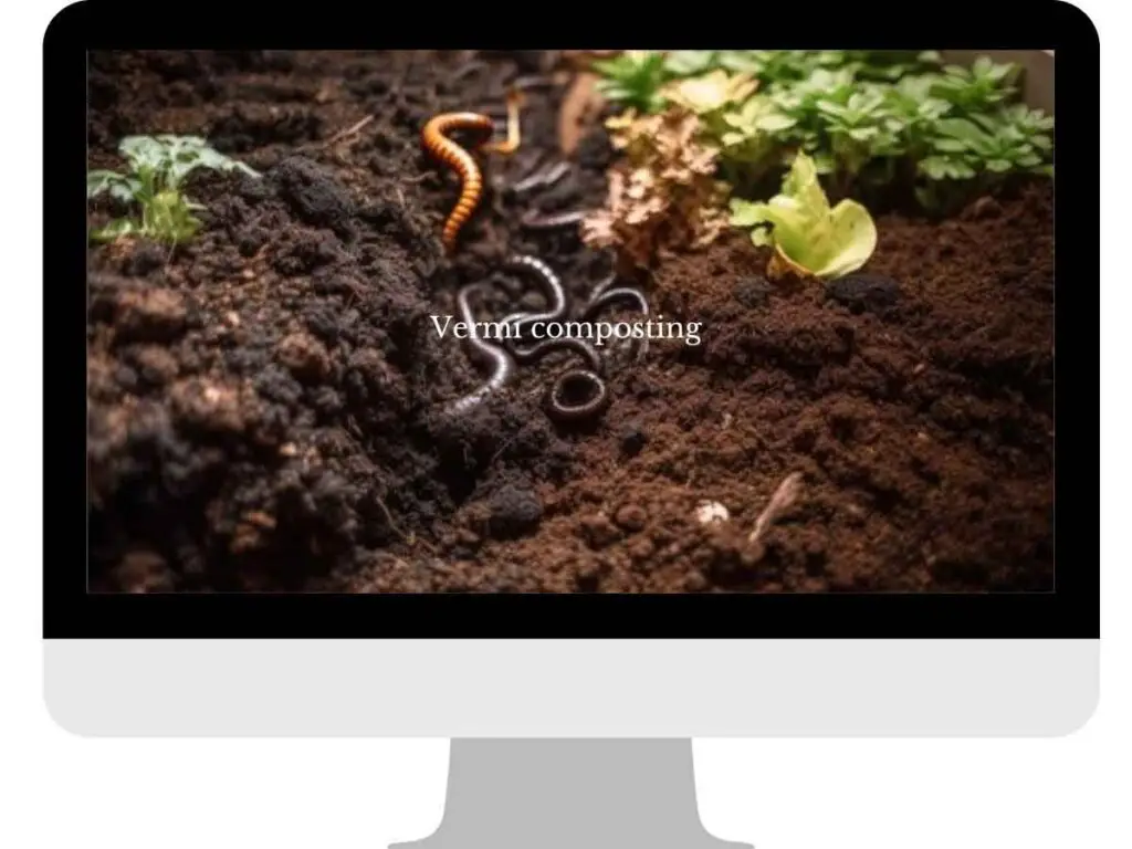 Vermicompost