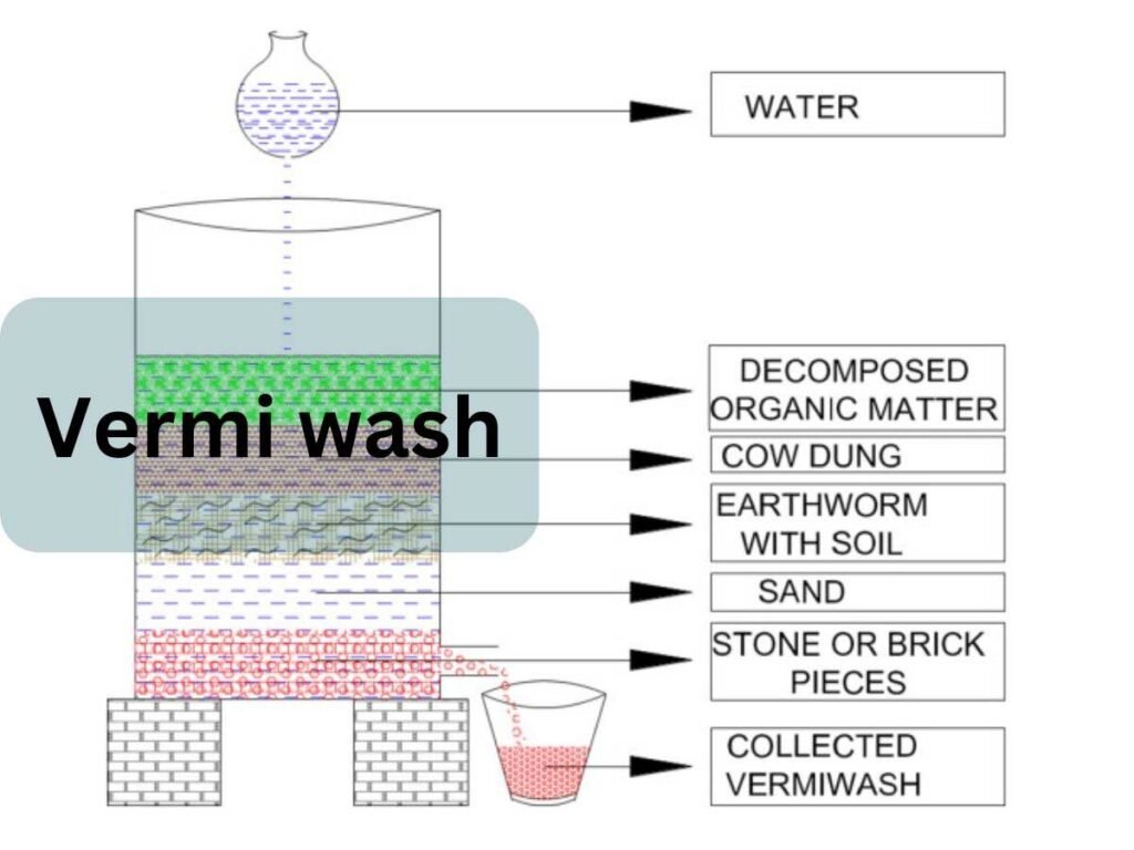 वर्मी वॉश का इस्तेमाल पौधों कैसें करे