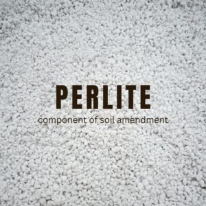 Perlite