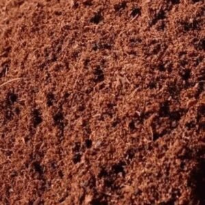 Washed Cocopeat