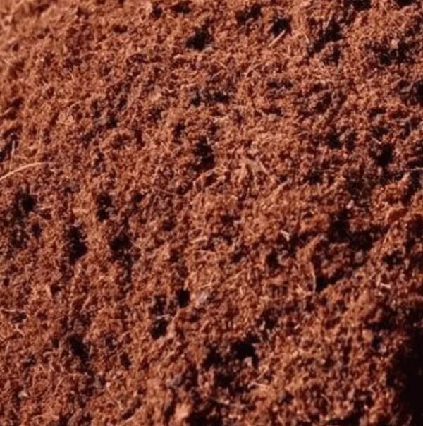 Washed Cocopeat